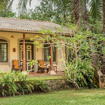 Ging Oya Lodge Waikkal Wayikkal Bagian luar foto